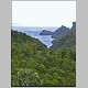 Waitakere Ranges 134.jpg